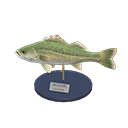 鲈鱼模型