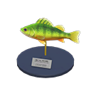 黄鲈鱼模型