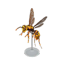 黄蜂模型
